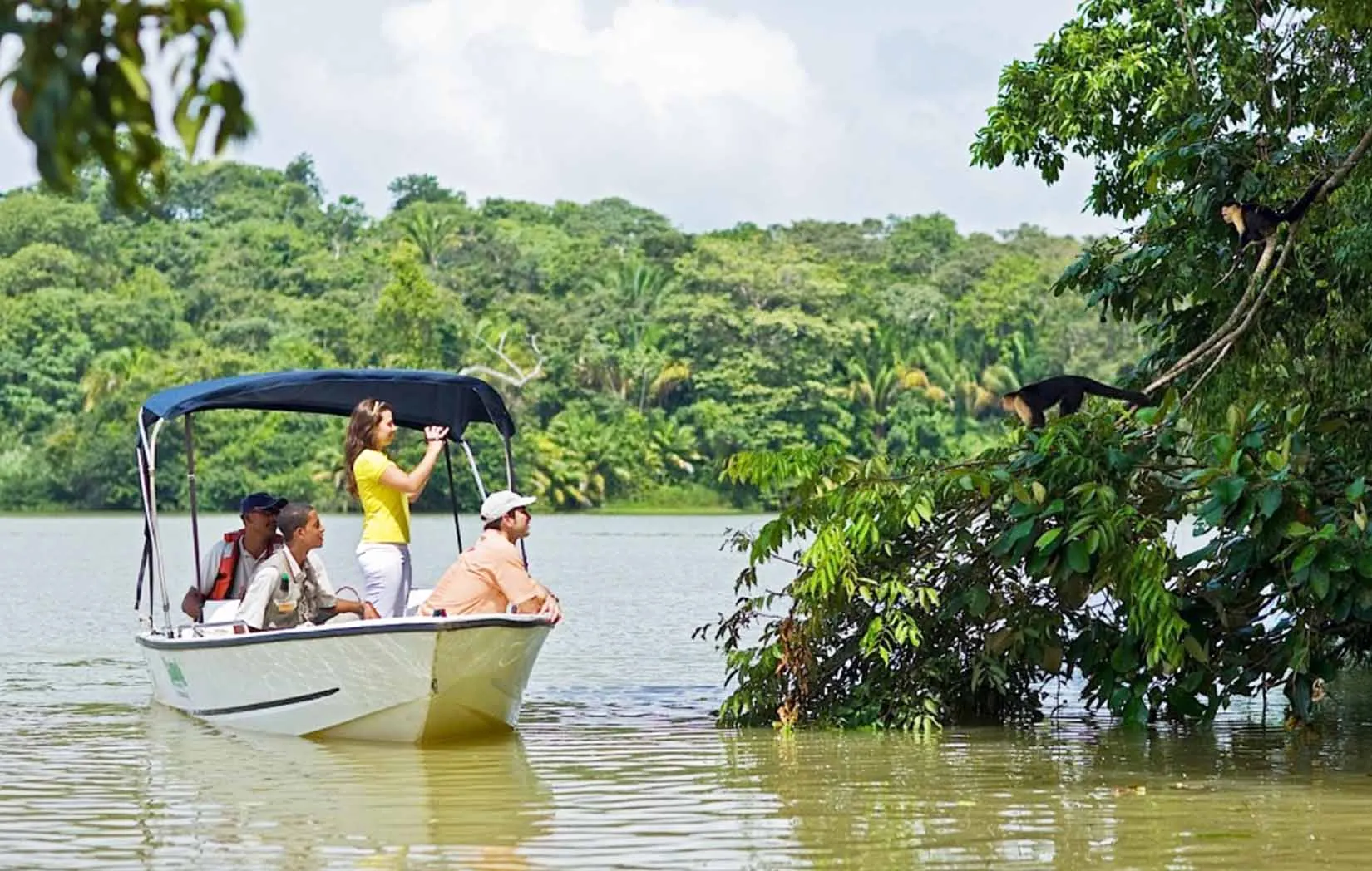 In Panama kun je veel wilde dieren bekijken