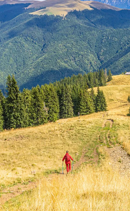Roemenie rondreis wandelaar in bergen 