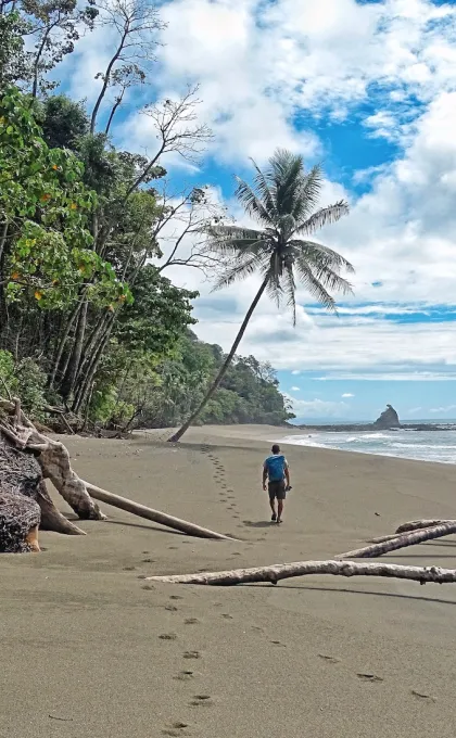 Mooiste Stranden Costa Rica Manuel Antonio