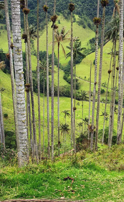 Beste reistijd Colombia