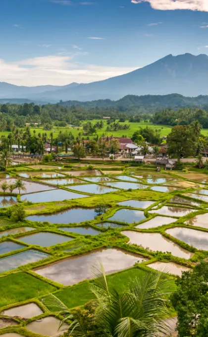 Rondreis Indonesië - Sumatra