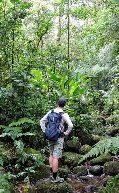 Nationale parken Costa Rica man in jungle