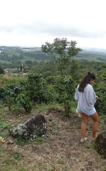 Praktische info Costa Rica koffieplantage