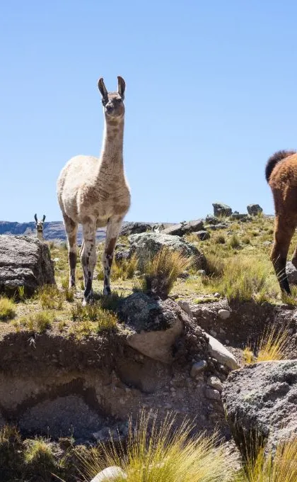 Praktische info Peru