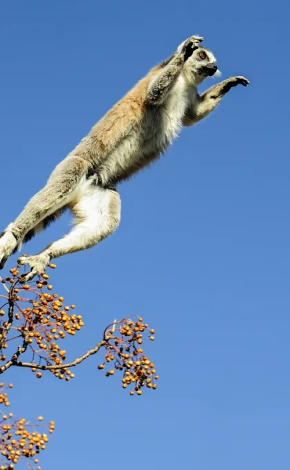 Madagaskar bezienswaardigheden