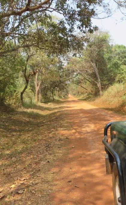 oeganda safari
