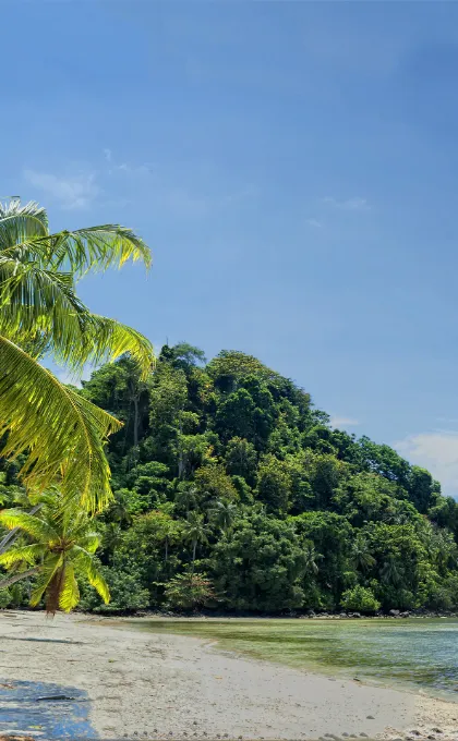 Beste reistijd Maleisisch Borneo