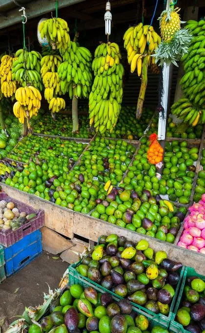 Sri Lanka fruit markt