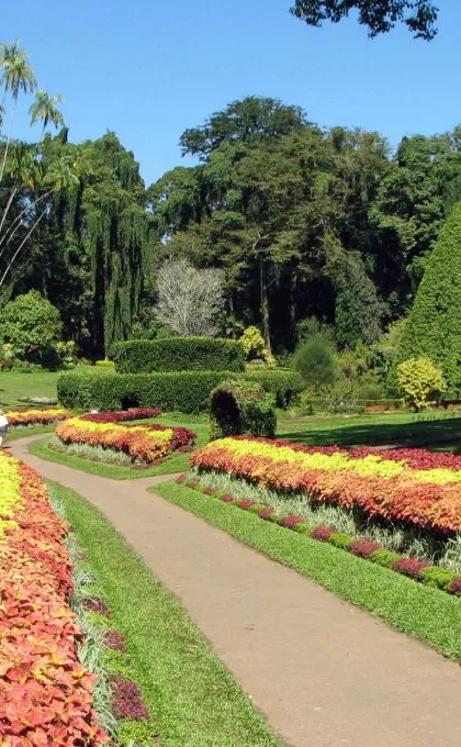 Botanische tuinen Sri Lanka