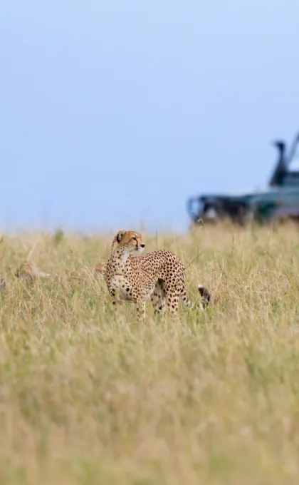 wat neem je mee op safari