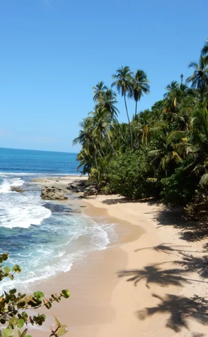 Beste reistijd Costa Rica Cahuita strand Playa Blanca