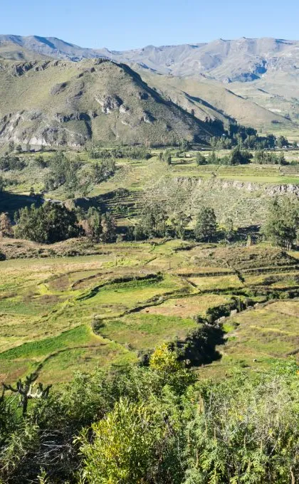 Uitzicht Colca Canyon Peru