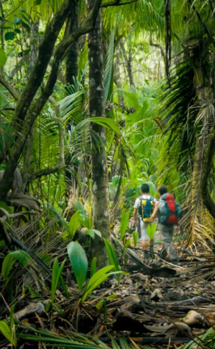 Wandelen Costa Rica