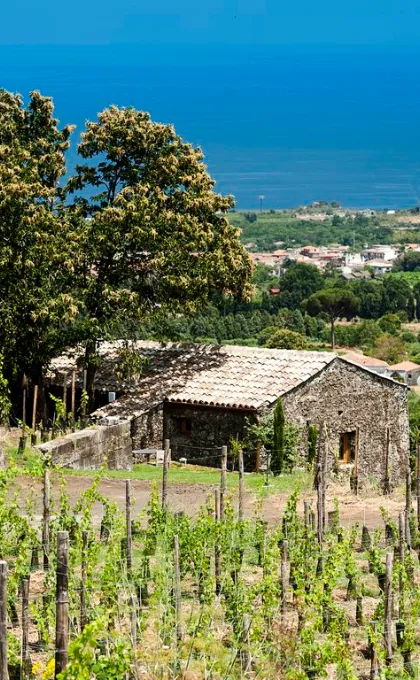 Sicilie hotel Etna