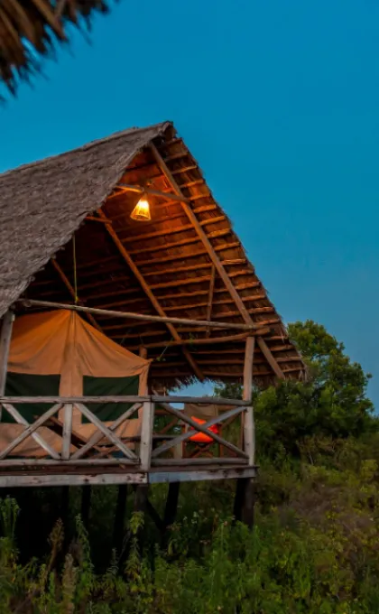 Tanzania tented lodge in Rhotia