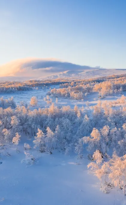 Zweden winterreis