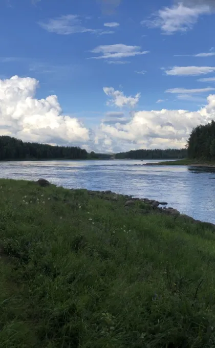 Finland rivier en bos