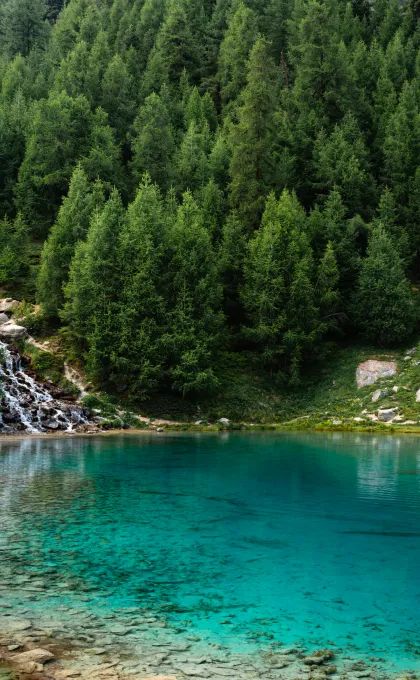 Zwitserland meer en bos