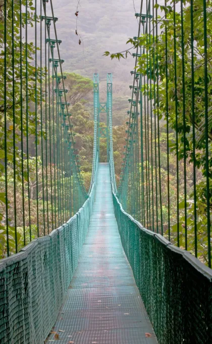 Hangburg Monteverde Costa Rica