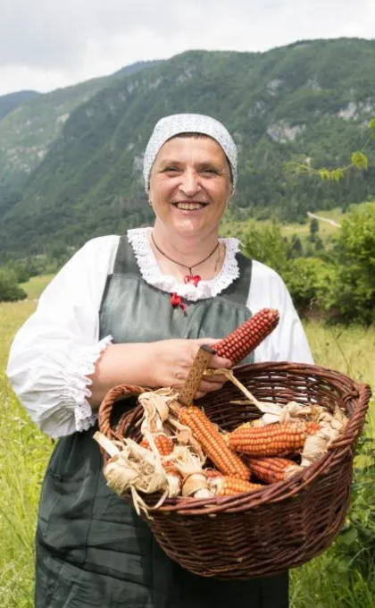 Vegetarisch eten Slovenië, boerderij