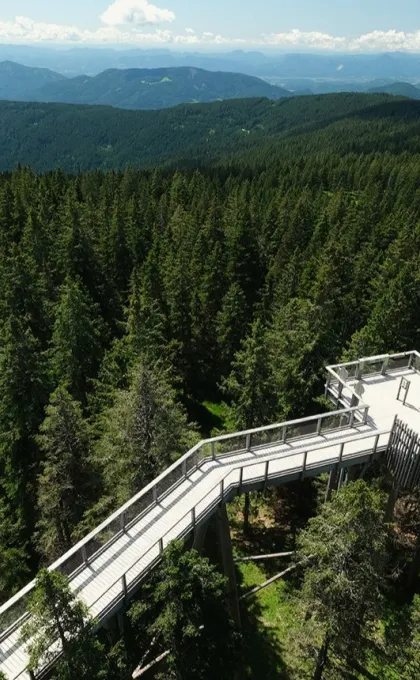 Rogla Pohorje, treetop walk Slovenië