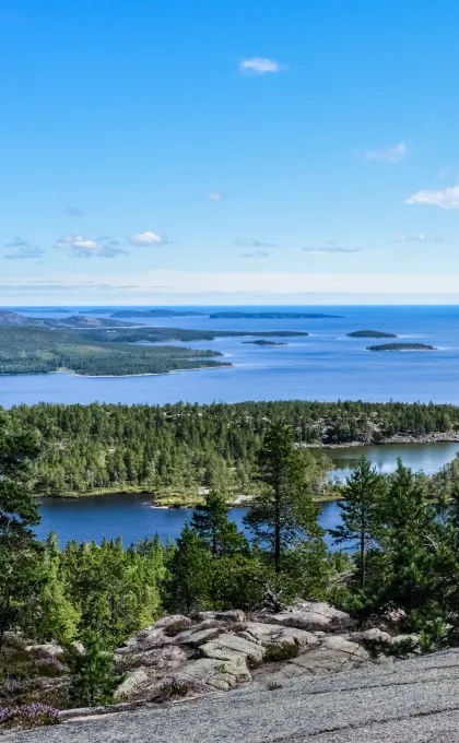 Hoga Kusten trektochten Zweden