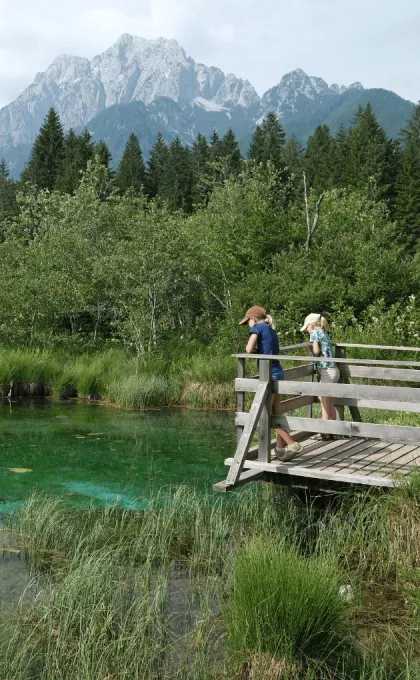 Zelenci Nature Reserve Slovenië