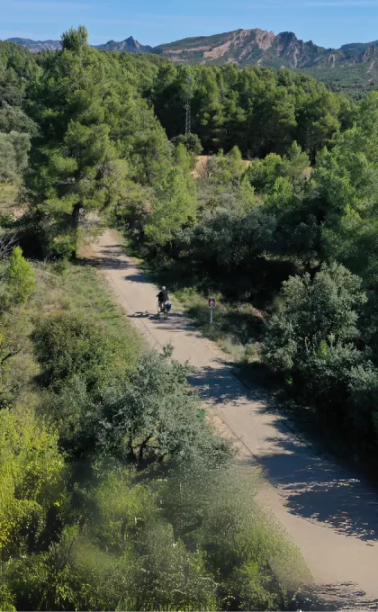 Fietser in Valencia, Spanje. 