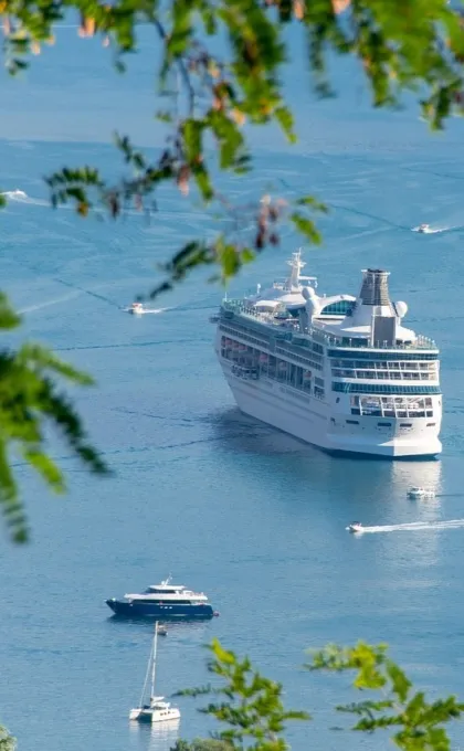 Cruiseschip in het water.