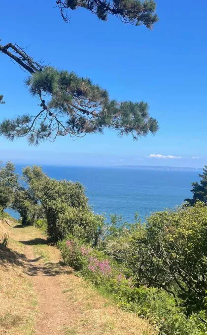 Een rustig pad met uitzicht op de oceaan.