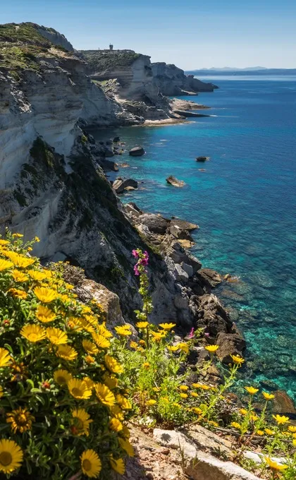 Kust van Corsica met helderblauwe zee, witte rotsen en gele bloemen in een groene wijden.