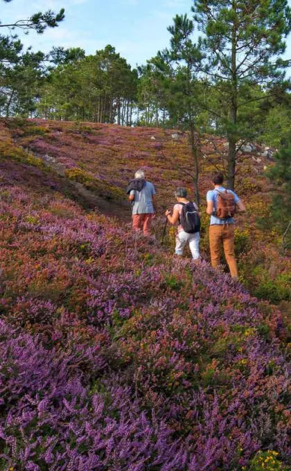 Bretagne - wandelaars over de Roze Granietkust tussen landschap.