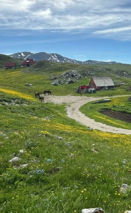 Een boerderij met katun in Montenegro.