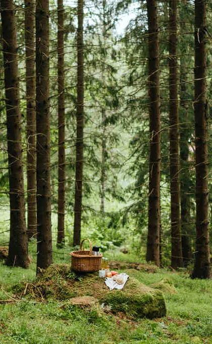 Granna Zweden in het bos.