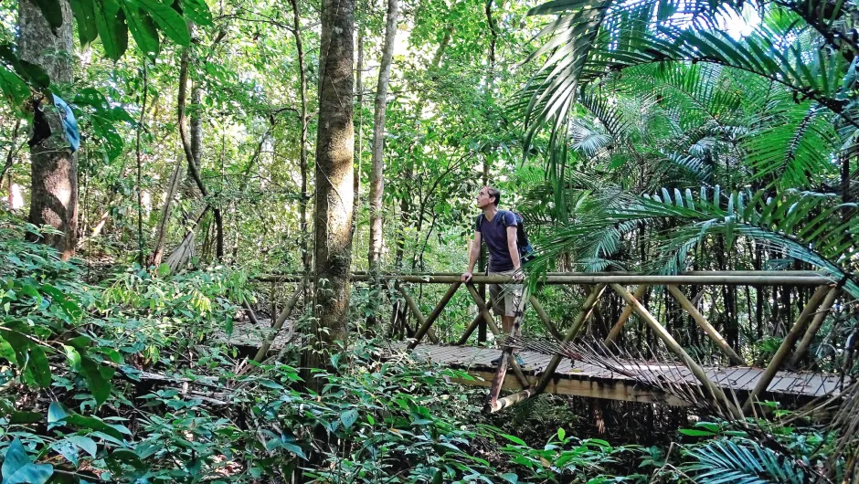Costa Rica bezienswaardigheden Manuel Antonio jungle