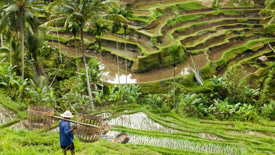 Rondreis Bali Indonesië