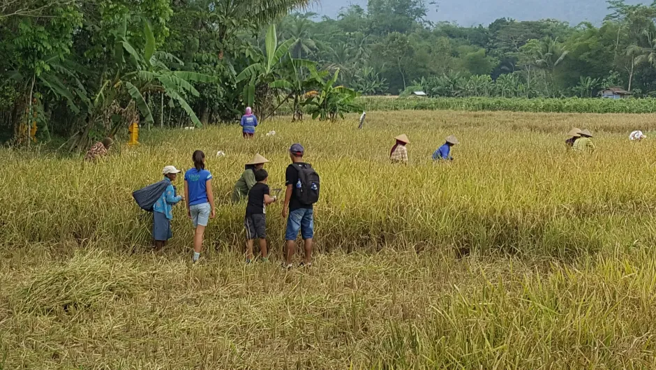 Java met kinderen - Albert en Marlous in Indonesië