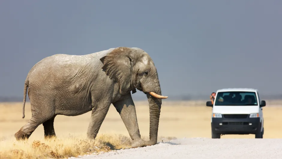 Namibië reisverhalen