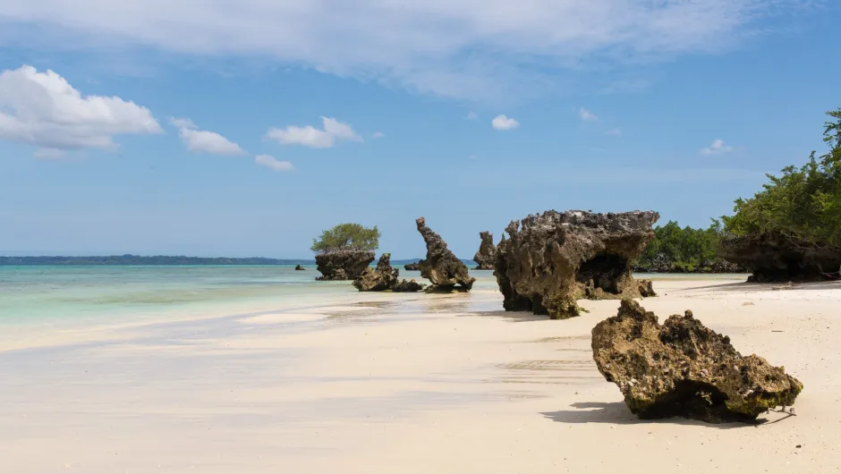 Zanzibar Vliegtijd