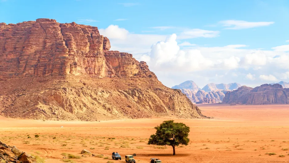 Wadi rum auto's