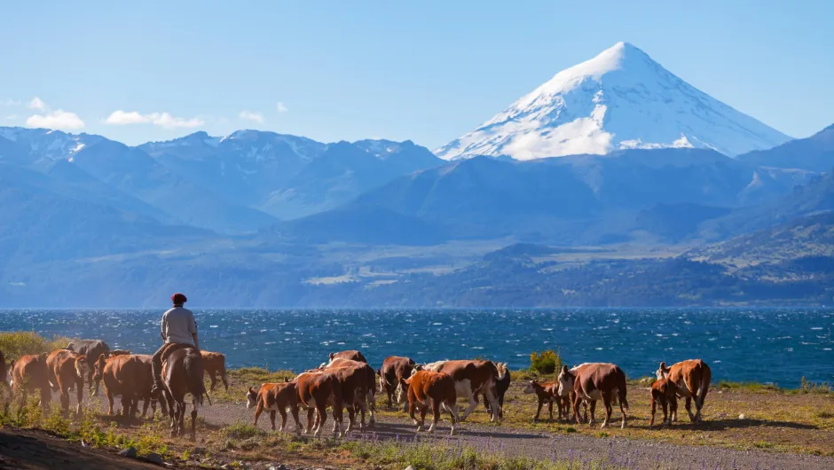 Argentinië reizen