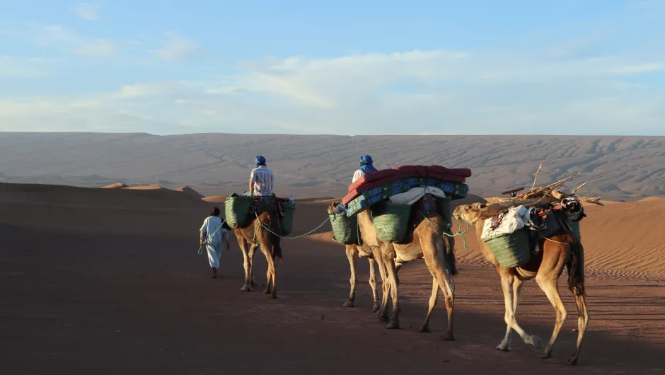 Marokko excursies