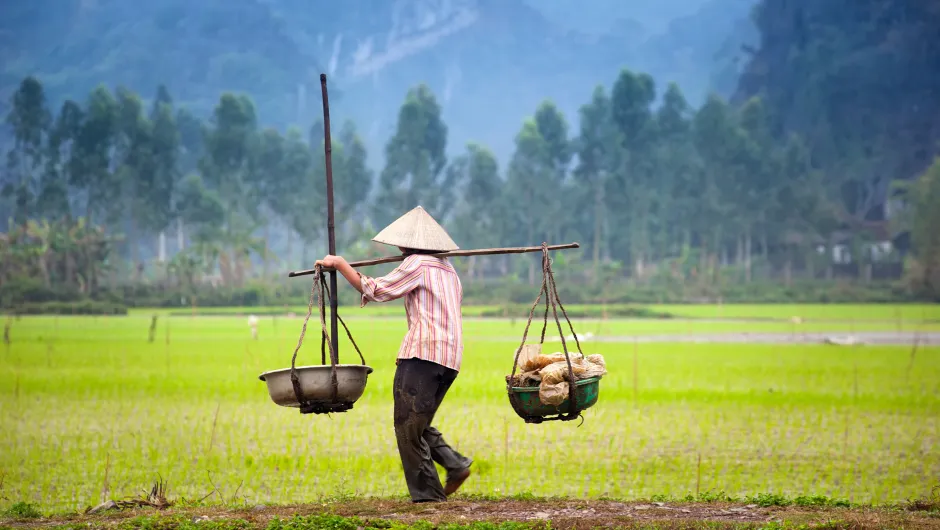 Vietnam rondreis - Ninh Binh