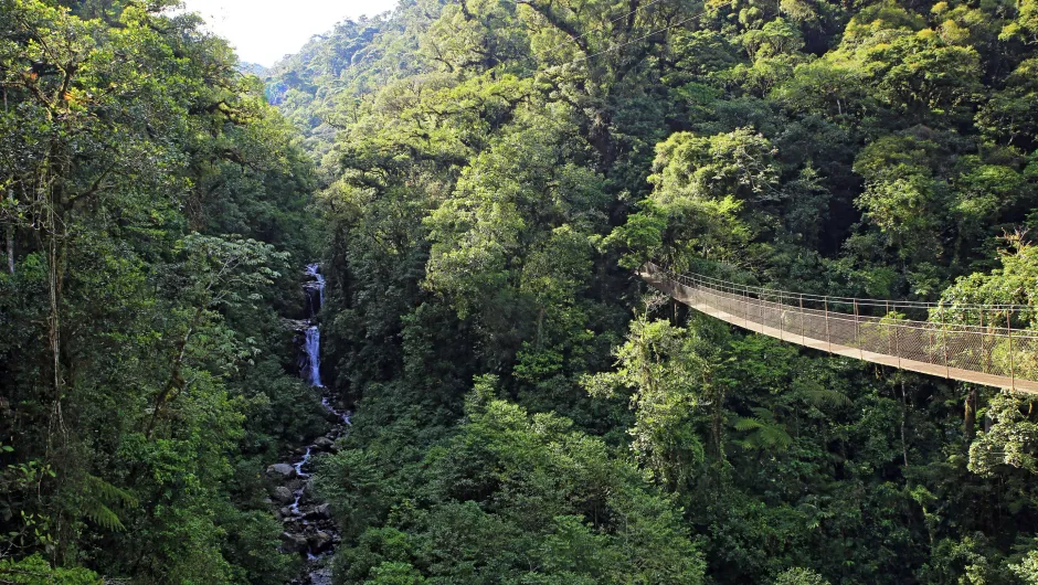 Panama tips Boquete hangbrug