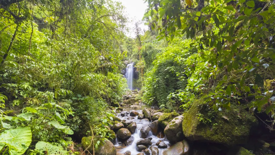 Duurzaam reizen Panama Boquete waterval