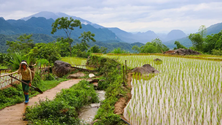 Duurzaam reizen naar Vietnam - Pu Luong
