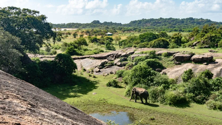 Sri Lanka reiservaringen