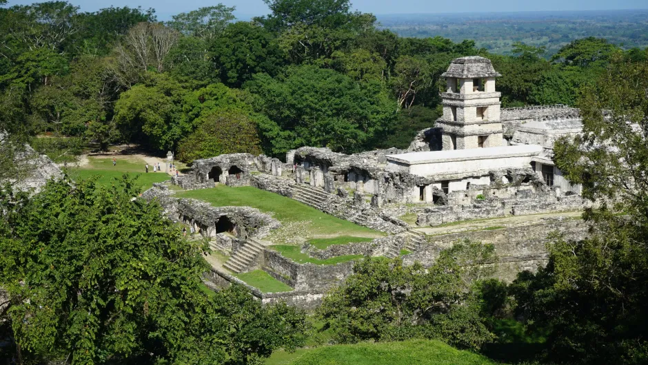 Rondreis hoogtepunten Mexico Palenque