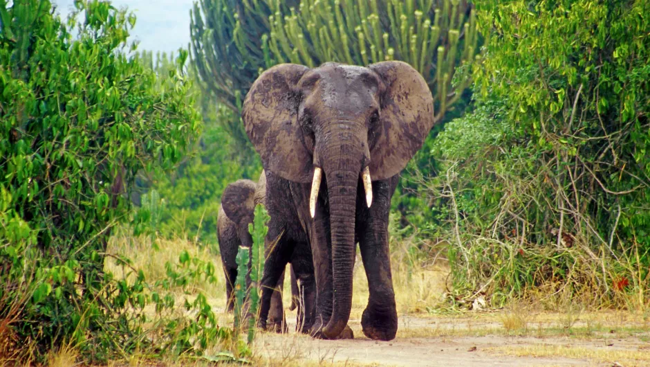 individuele rondreis namibie