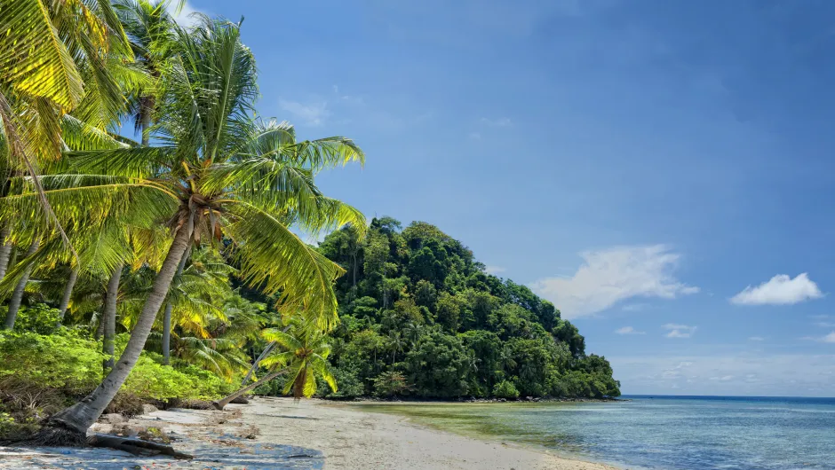 Beste reistijd Maleisisch Borneo 